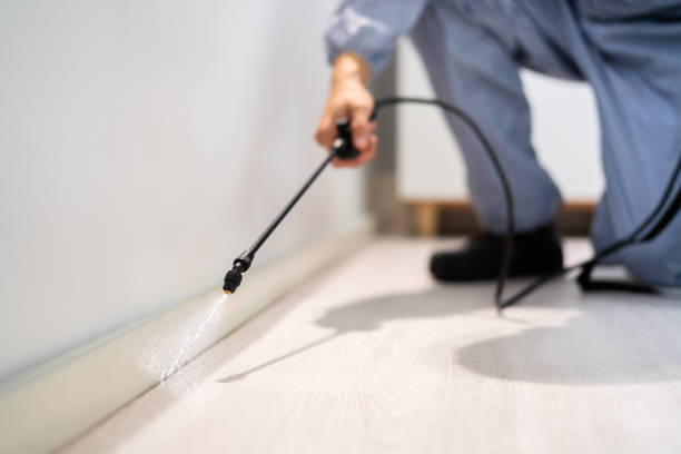 Bed Bug Pre-Treatment Preparation Assessment in Maypearl