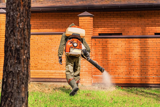 Bed Bug Clearance Verification and Documentation in Maypearl